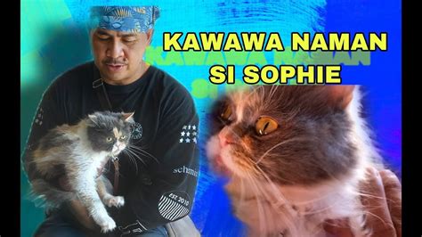 Happy Kiffy Nanaman si Sophie .